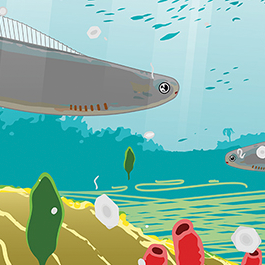 Holographic illustration of HAIKOUICHTHYS showcasing its unique features and details.