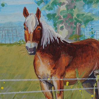 Detailed close-up of horses showcasing their beauty and unique features.