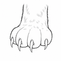 Detailed image of a cat showcasing its unique features and playful personality.