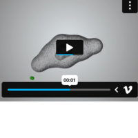 Detailed medical animation showcasing vital processes in human health and anatomy.